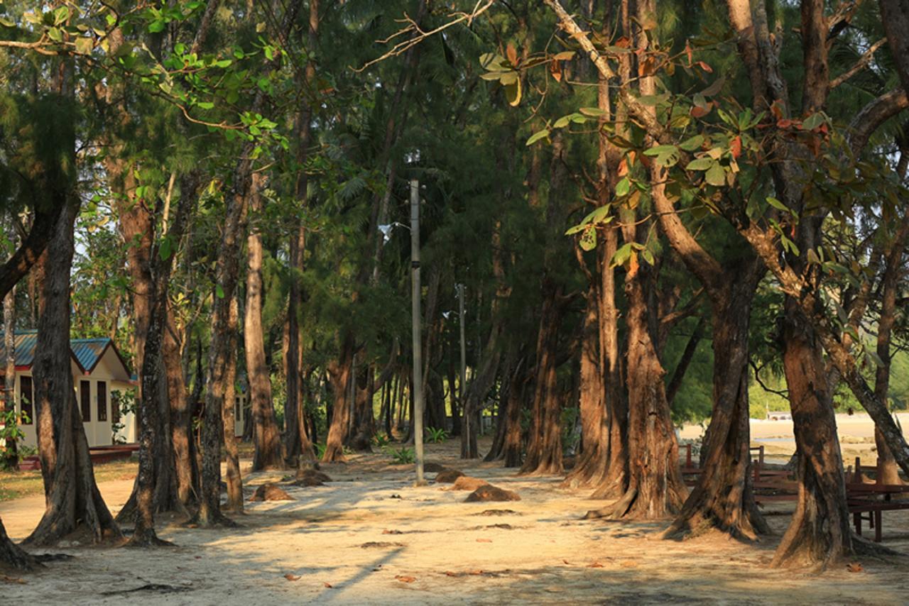 Coconut Island Resort Ngapali Beach Extérieur photo